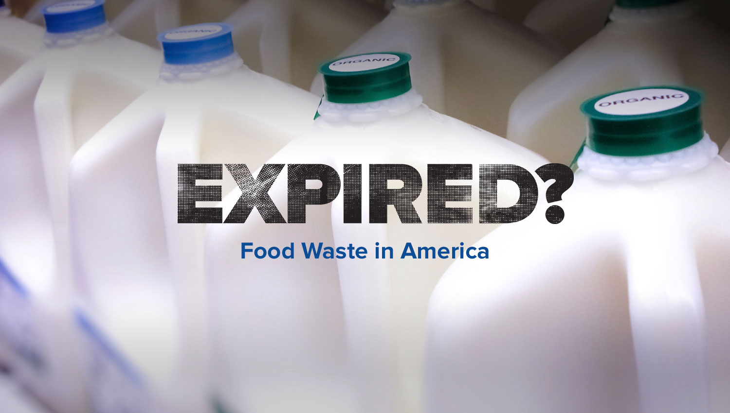 Expired? Food Waste in America