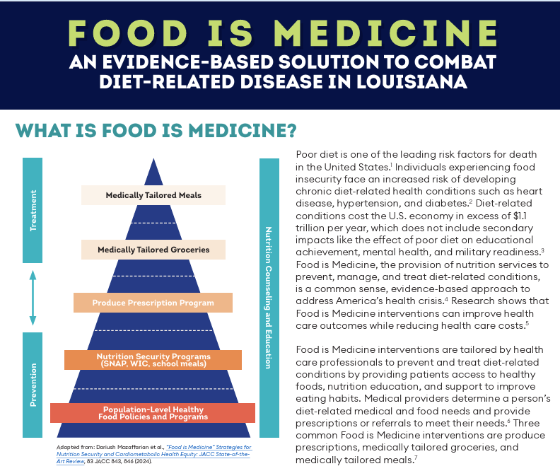 Louisiana Report Cover