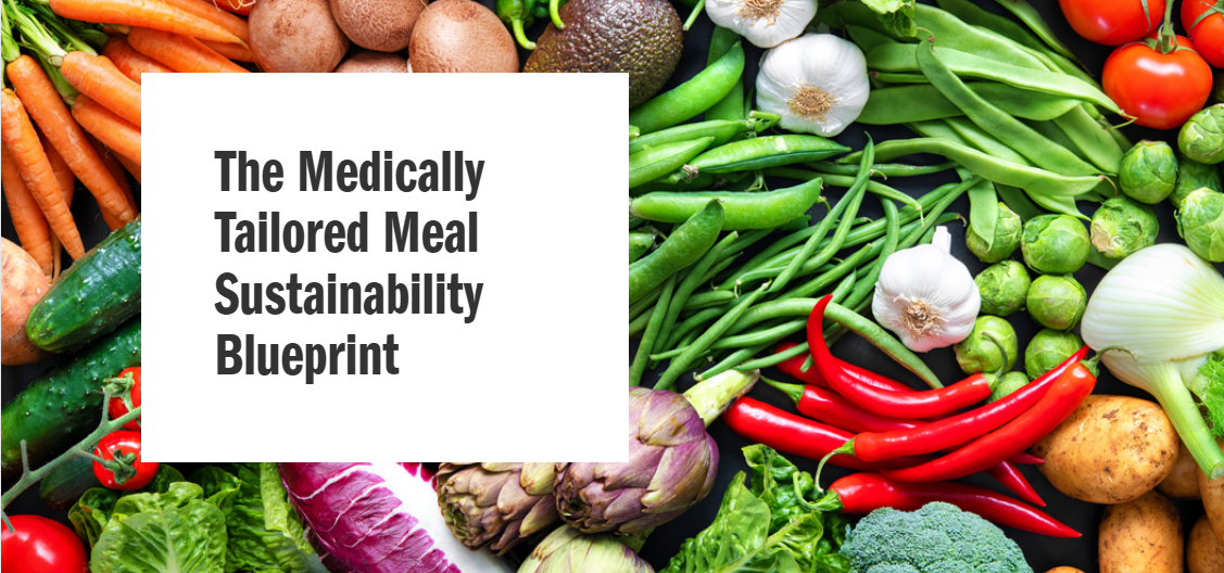 MTM Sustainability Blueprint